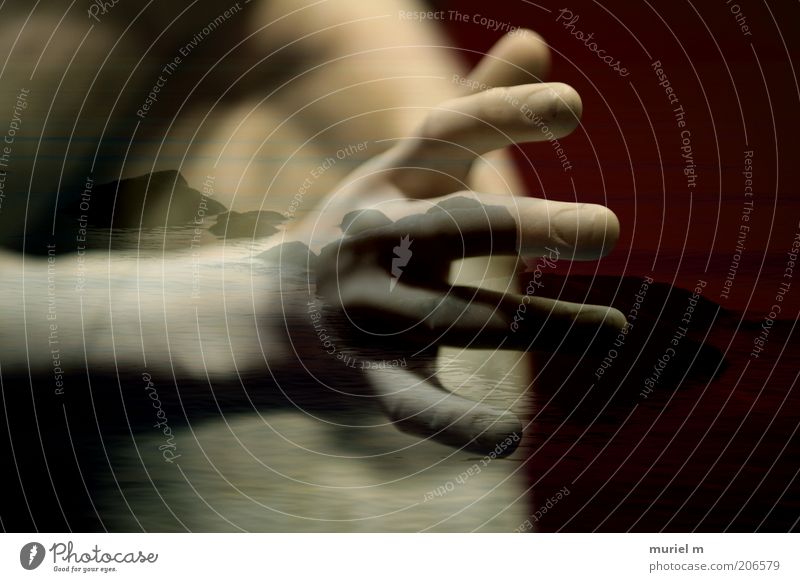 Hand am Meer Mensch maskulin Mann Erwachsene Arme Finger 1 Kunstwerk Landschaft Wasser Horizont Küste berühren Bewegung Erholung Gefühle Kraft schön ästhetisch