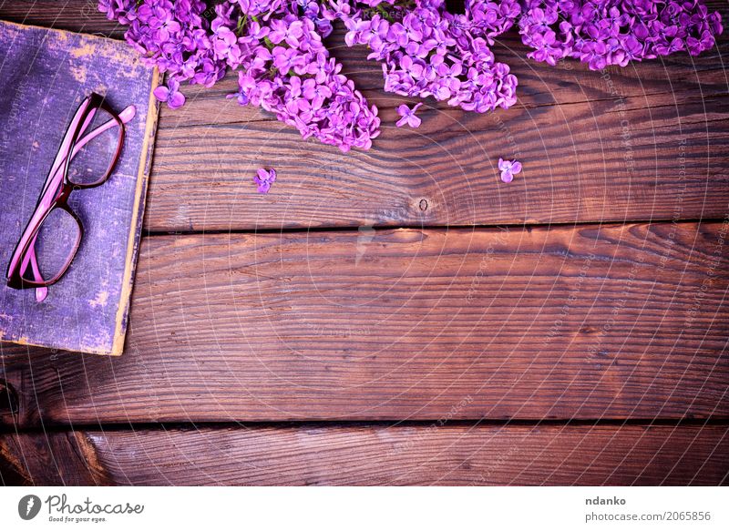 Lila Flieder und ein altes Buch mit Brille Blume Blüte Papier Holz oben retro braun violett Deckung Fliederbusch Hintergrund altehrwürdig purpur Wissen