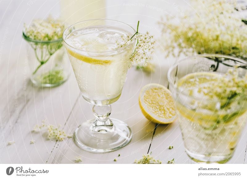 Holunderblütenschorle Holunderbusch Blüte Schorle Wasser Getränk trinken Zitrone Glas frisch Essen zubereiten altehrwürdig lecker Erfrischung rezept Sommer süß