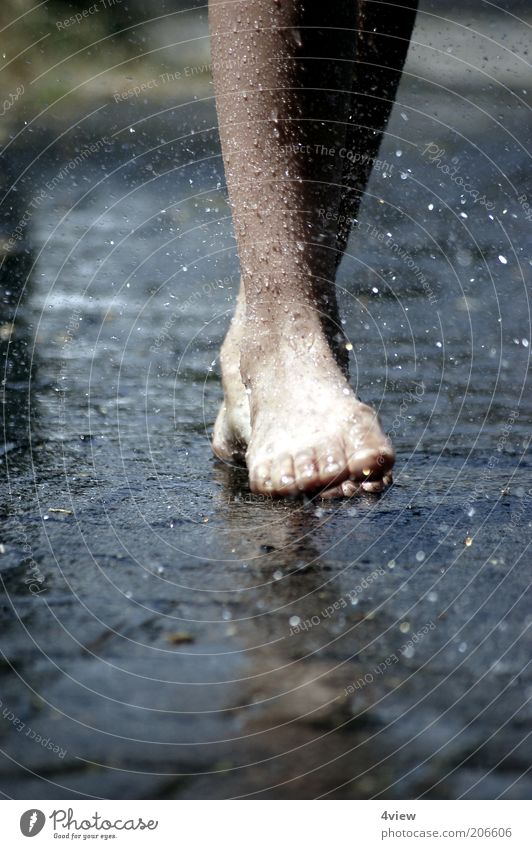 an Tagen wie diesen Beine Fuß Wasser laufen frisch Sauberkeit blau grau Farbfoto Außenaufnahme Nackte Haut Barfuß Unterschenkel Gelenk gehen rennen Lebensfreude