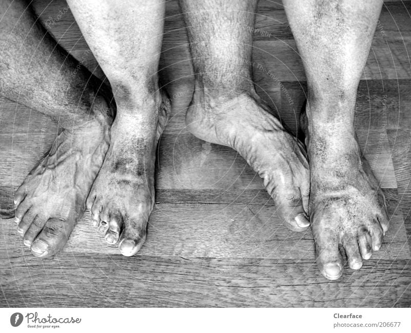 Vierfüßler Mensch Paar Fuß Holz authentisch Ekel Reinlichkeit Sauberkeit skurril Team Barfuß Schwarzweißfoto Innenaufnahme dreckig Holzfußboden Männerfuß 4 alt