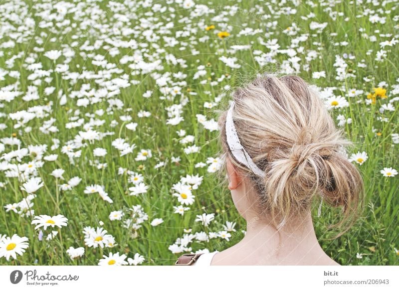 am Blumenmeer feminin Junge Frau Jugendliche Kopf Haare & Frisuren grün Wiese Sommer Blumenwiese Margerite Blick träumen Tagtraum beobachten Frühling blond