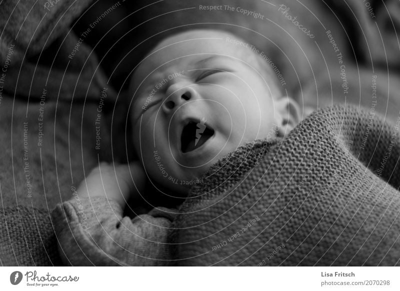 so müde Gesundheit maskulin Baby Kindheit Gesicht 1 Mensch 0-12 Monate Bewegung schlafen träumen frei Zufriedenheit Schutz Geborgenheit Warmherzigkeit Liebe