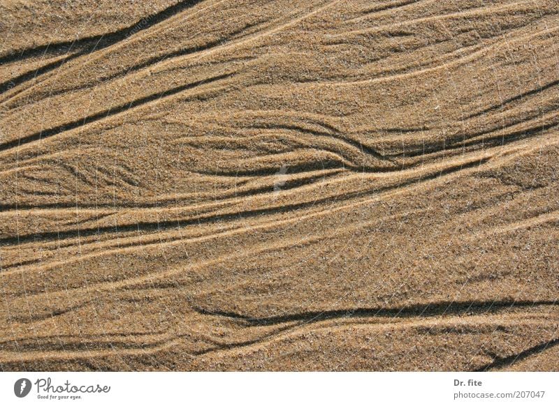 Sand mit Spuren Erde See Strand Farbfoto Außenaufnahme Licht Schatten Kontrast Strukturen & Formen beige wellig Hintergrundbild Hintergrund neutral Textfreiraum
