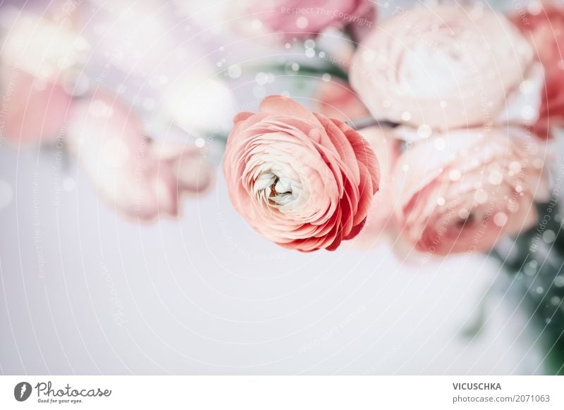 Pastell floral Hintergrund mit schönen Blumen elegant Design Leben Dekoration & Verzierung Veranstaltung Feste & Feiern Valentinstag Hochzeit Geburtstag Natur