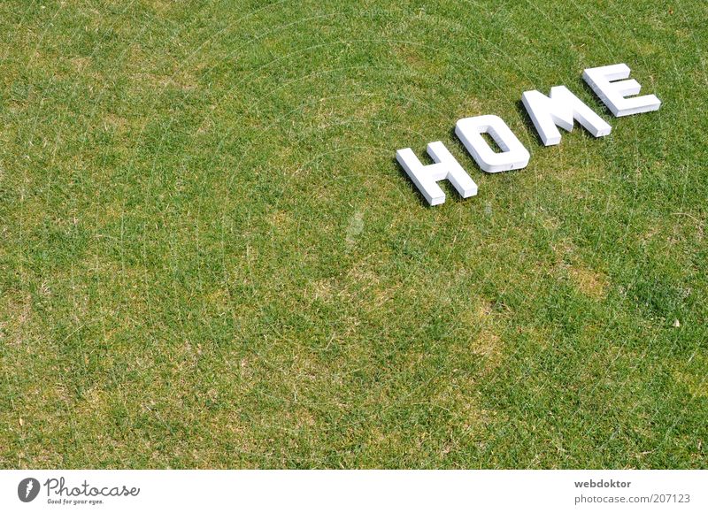 home sweet home Gras Zeichen Schriftzeichen hell Farbfoto Menschenleer Textfreiraum links Buchstaben Rasen Dürre trocken weiß grün Außenaufnahme