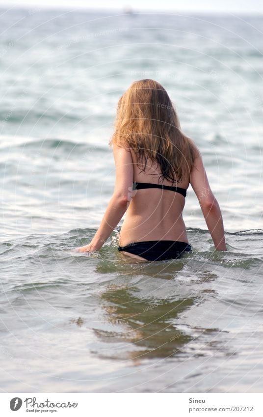 Frau geht ins Wasser Erwachsene Haare & Frisuren Rücken 1 Mensch Sommer Schönes Wetter Wellen Meer Bikini langhaarig Schwimmen & Baden nass Wärme Freude