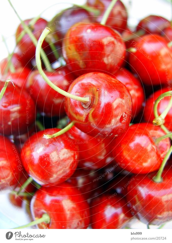 Kirschen - Sünde? rot Makroaufnahme Sommer Gesundheit Frucht