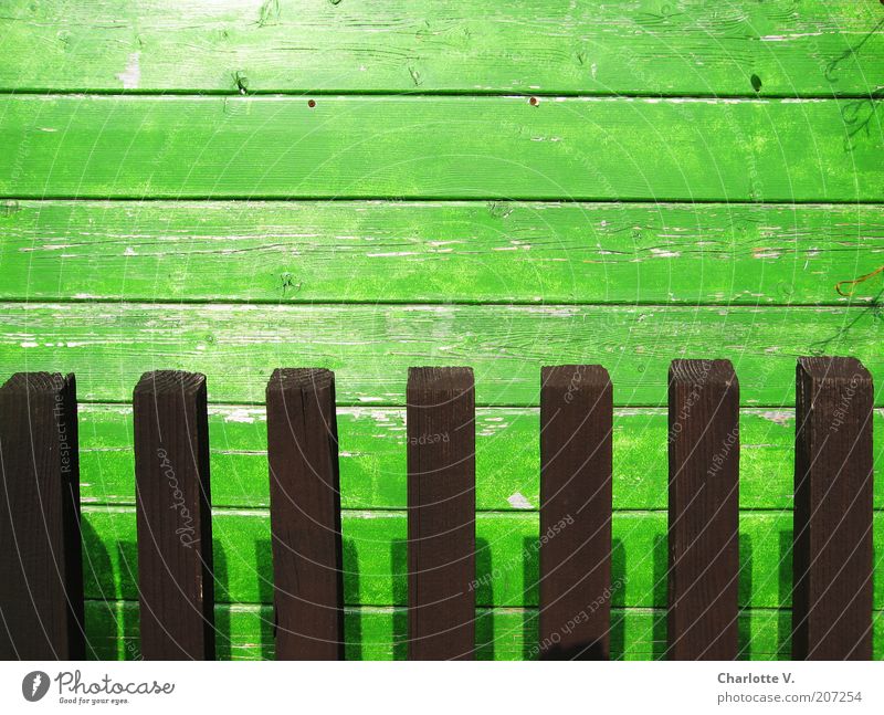 Bretter-Hecke Garten Bretterzaun Holz einfach braun grün Linie liniert Holzbrett Schatten Maserung abblättern mehrfarbig Außenaufnahme Nahaufnahme Menschenleer