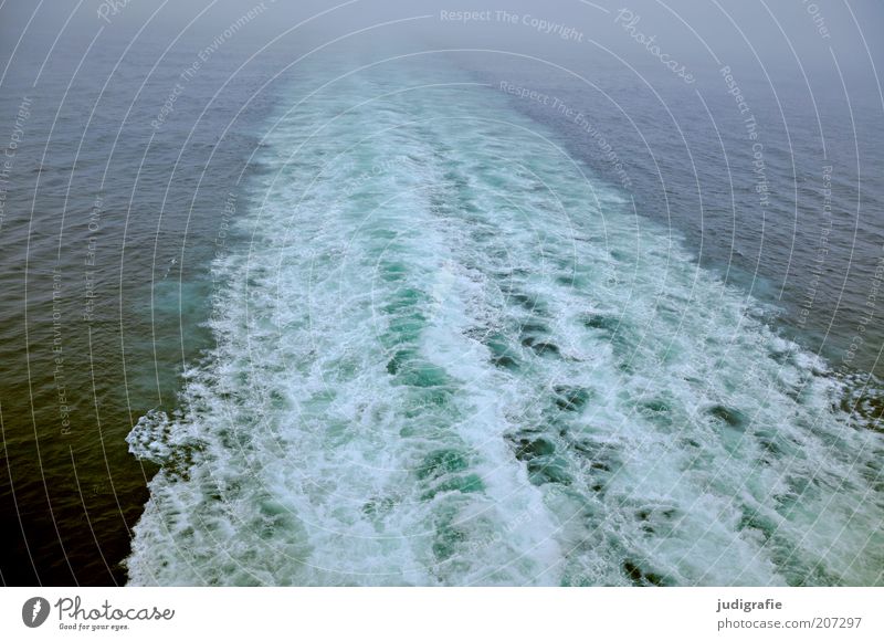 Reise Umwelt Natur Wasser Wellen Meer Atlantik Verkehr Verkehrsmittel Schifffahrt Passagierschiff kalt wild Stimmung Einsamkeit entdecken Geschwindigkeit