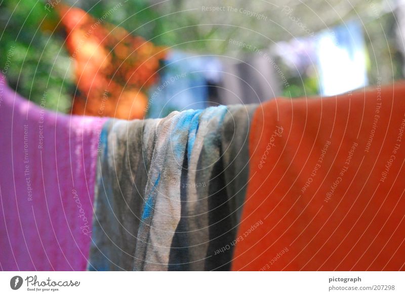 Sommerwäsche Schönes Wetter Handtuch Wäscheleine hängen Sauberkeit ruhig Farbe Farbfoto Außenaufnahme Nahaufnahme Menschenleer Tag Schwache Tiefenschärfe