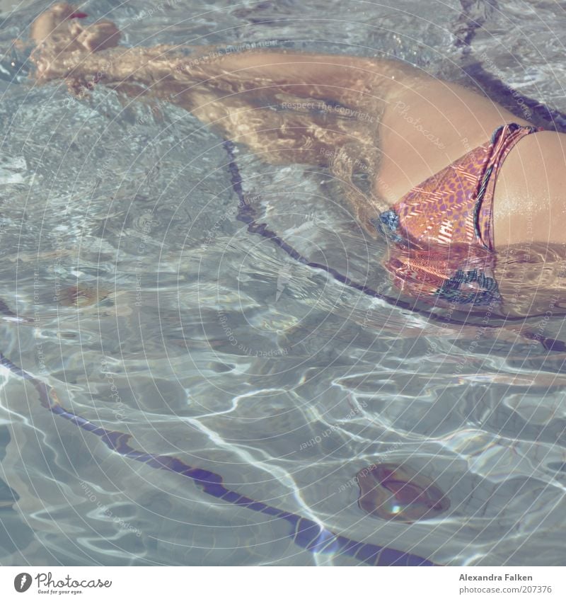 Frau badet III feminin Junge Frau Jugendliche Erwachsene Gesäß 1 Mensch Schwimmen & Baden Erholung Bikini mehrfarbig Schwimmbad Wasser Ferien & Urlaub & Reisen