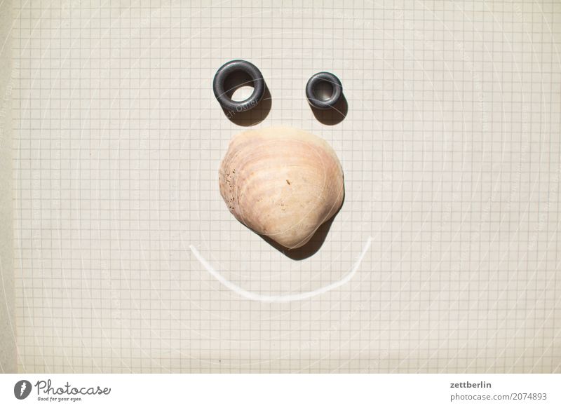 Vorsätzlich freundlich Gesicht Muschel Muschelschale Panzer Schalenweichtier Hülle skurril Auge Nase Mund karikatur Blick Porträt neutral Lächeln lachen