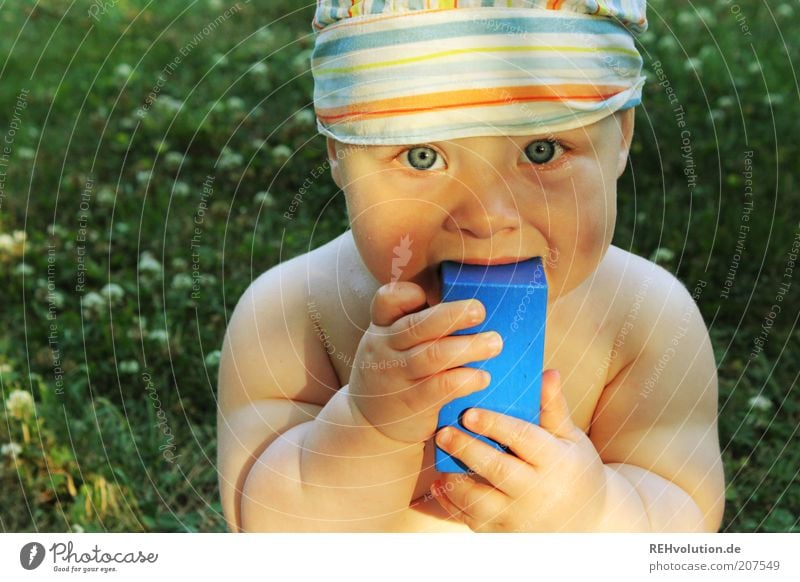 "Dich angucken." Mensch Kind Baby 1 0-12 Monate Essen Blick Kopftuch Mütze nackt Babyaugen Wiese Sommer mehrfarbig lutschen Bauklotz Spielen Spielzeug blau grün