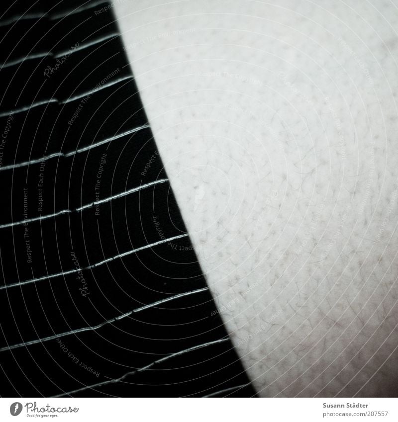 wohlführen. maskulin Mann Erwachsene Haut Rücken Bauch frieren Gänsehaut Unterhose Streifen Behaarung Pore Baumwolle graphisch Am Rand Hosenbund Innenaufnahme