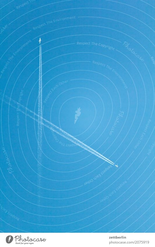 Flüchtige Begegnung Kondensstreifen Luftverkehr Flugzeug Himmel Himmel (Jenseits) Blauer Himmel himmelblau Linie Luftverschmutzung Menschenleer