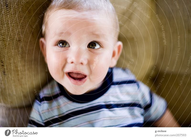 Juliusz Mensch maskulin Kind Baby Kopf 1 0-12 Monate Fröhlichkeit Glück schön Neugier niedlich positiv klein Babyaugen Kleinkind gestreift T-Shirt sitzen Sofa