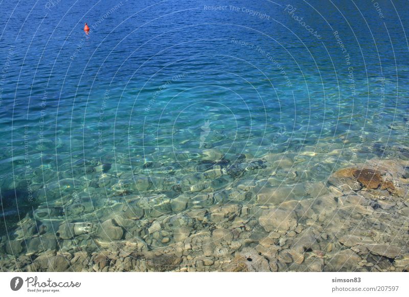 Blaustich Wasser Sommer Schönes Wetter Wärme Meer Adria Insel Lastovo Ferien & Urlaub & Reisen ästhetisch frei Unendlichkeit nass blau Sehnsucht Fernweh