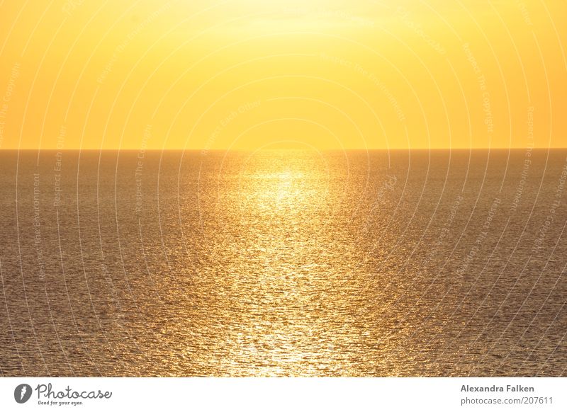 Sonne trifft Meer. harmonisch ruhig Ferne Sommer Unendlichkeit Wärme gelb gold Endzeitstimmung orange Farbfoto Außenaufnahme Menschenleer Abend Sonnenaufgang