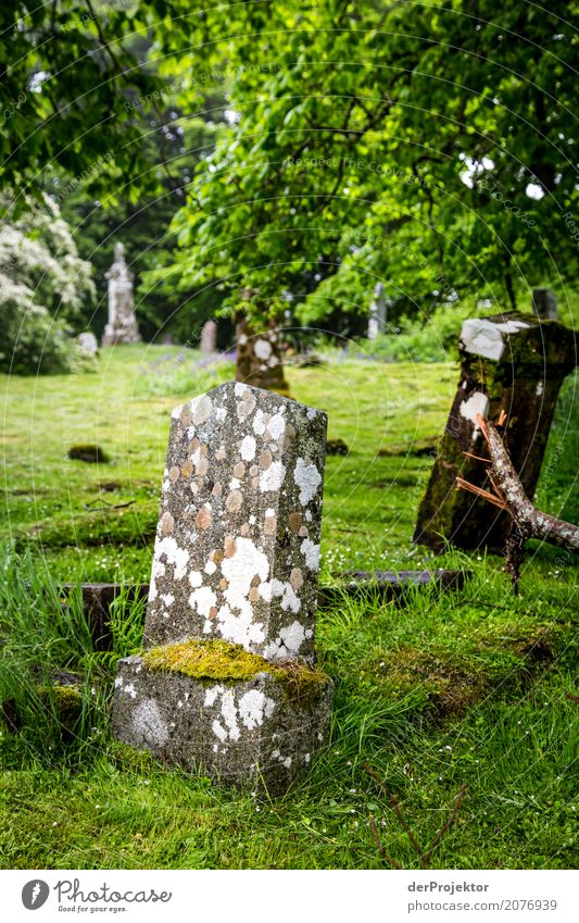 Grabstein auf Friedhof auf der Insel Isle of Skye IV Ruine Kreuz Frieden Zentralperspektive Textfreiraum Mitte Großbritannien Tourismus Ferien & Urlaub & Reisen