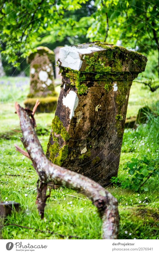 Grabstein auf Friedhof auf der Insel Isle of Skye II Ruine Kreuz Frieden Zentralperspektive Textfreiraum Mitte Großbritannien Tourismus Ferien & Urlaub & Reisen