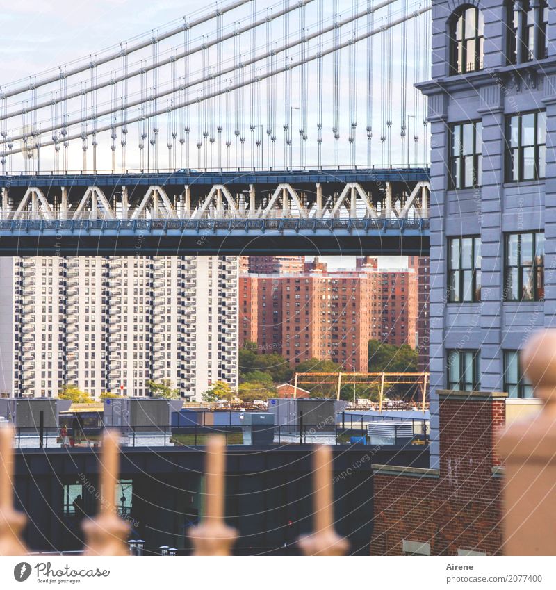 drunter oder drüber II Sightseeing Städtereise New York City Stadtzentrum Haus Hochhaus Brücke Hängebrücke Sehenswürdigkeit Manhattan Bridge Beton Stahl Linie