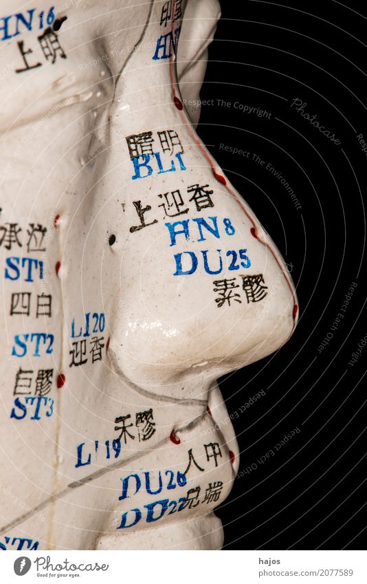 Akupunkturmodell Kopf Alternativmedizin einrichten Wissenschaften Berufsausbildung Studium alt stark Kopfmodell Heilpraktikerschule üben TCM chinesische Medizin