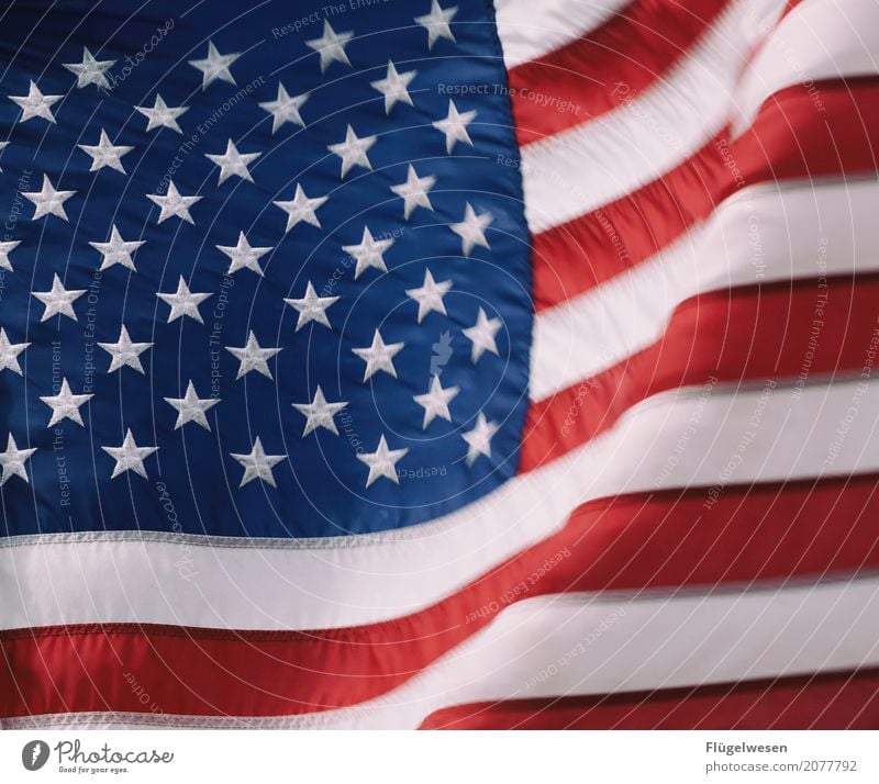 Good old America Amerika Amerikaner USA Stars and Stripes Fahne Nationalitäten u. Ethnien Patriotismus Trump Präsident Stoff Fahnenmast wehen Wind