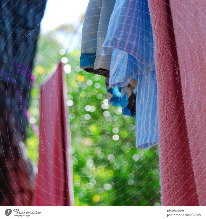 Hanging in the wind Sommer Natur Handtuch Wäsche Badehose Wäscheleine hängen einfach mehrfarbig ruhig Farbe trocknen Farbfoto Außenaufnahme Nahaufnahme Tag