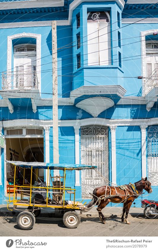 Blaues Haus Dorf Kleinstadt blau braun gelb rot Pferd Pferdekutsche Kuba Oldtimer Fenster Wagen Eingangstür warten Pause Farbfoto Außenaufnahme