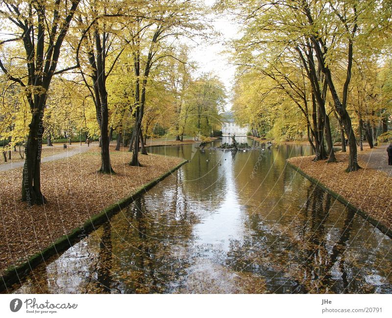 Herbst im Park Baum Wasser