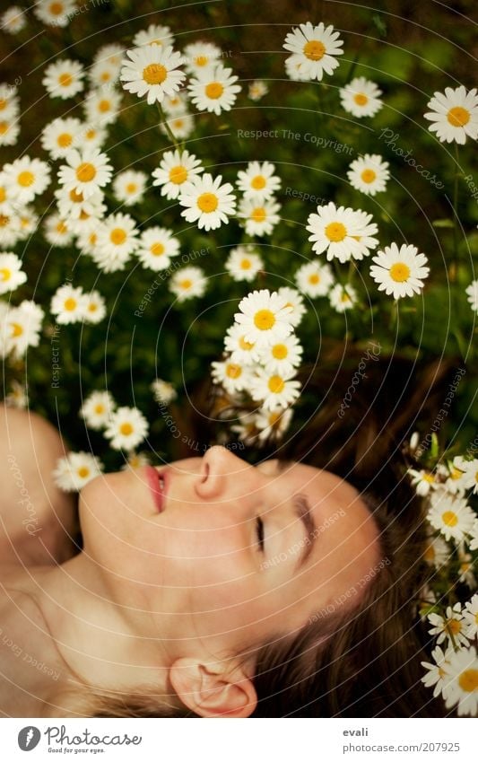 Frühlingsschlaf feminin Junge Frau Jugendliche Erwachsene Kopf Gesicht 18-30 Jahre Sommer Blume Erholung genießen Lächeln liegen schlafen träumen natürlich gelb