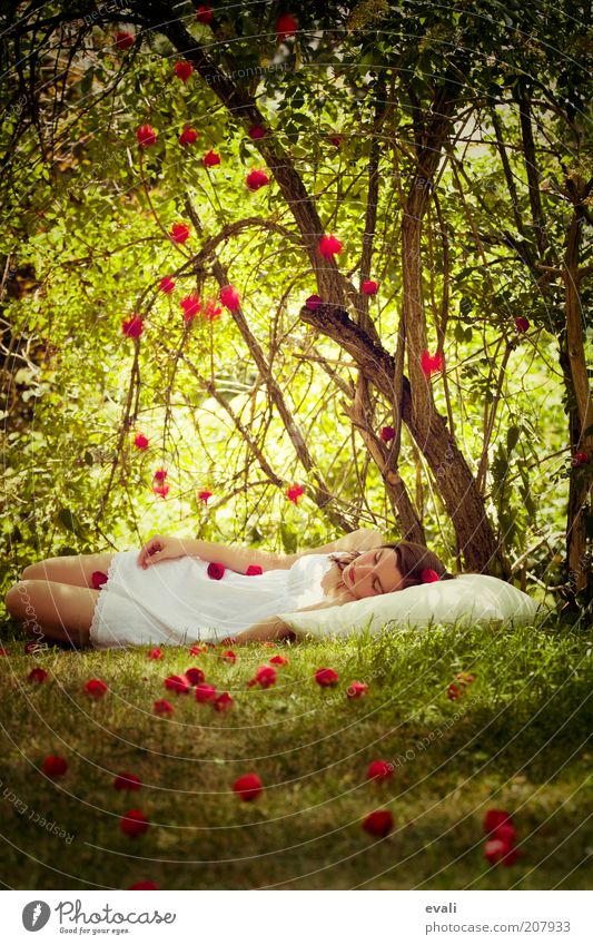 Rosenregen Mensch feminin Junge Frau Jugendliche Erwachsene 1 18-30 Jahre Baum Gras Sträucher Garten Park liegen schlafen träumen grün rot Märchen