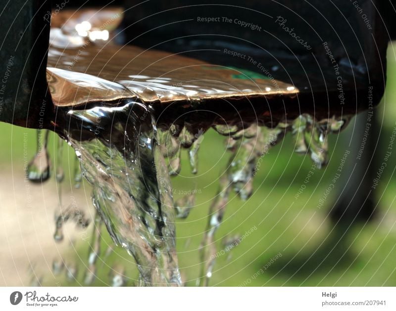 Erfrischung... Metall Wasser Bewegung fallen glänzend ästhetisch einfach Flüssigkeit nass Sauberkeit braun grün Geschwindigkeit Wasserrinne Rinnsal durchsichtig