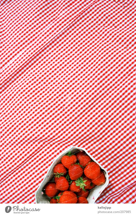 erdbeerbecher Lebensmittel Frucht Ernährung Bioprodukte Vegetarische Ernährung Lifestyle Sommer Erdbeeren erdbeerschale frisch rot Schalen & Schüsseln Karton
