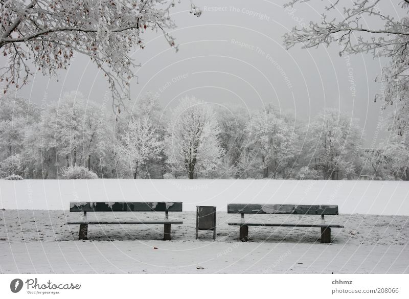 Warten auf den Sommer Natur Winter Park Wiese Wald Bank Müllbehälter Einsamkeit ruhig grau Symmetrie Frost Farbfoto Gedeckte Farben Außenaufnahme Menschenleer