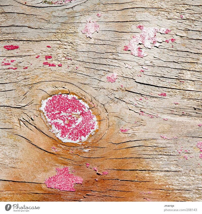 Holzauge sei wachsam alt rosa Farbe Verfall Vergänglichkeit Astloch abblättern trocken Farbfoto Detailaufnahme Strukturen & Formen Textfreiraum rechts