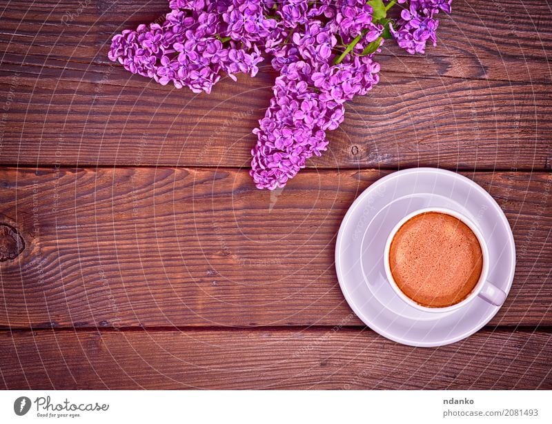 Tasse Espresso Kaffee Frühstück Getränk Teller Becher Tisch Restaurant Natur Blume Blumenstrauß Holz frisch heiß oben retro braun weiß Café Fliederbusch purpur