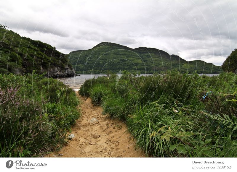 Lough Leane Natur Landschaft Pflanze Wasser Himmel Wolken Frühling Sommer Wind Gras Felsen Berge u. Gebirge Bucht See grün weiß Republik Irland Wege & Pfade
