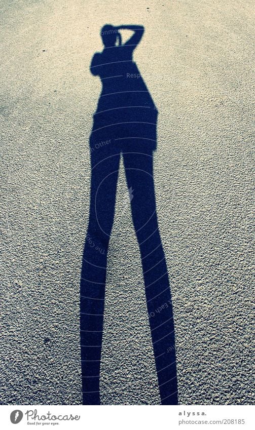 Schatten in Aktion. Stil Mensch feminin Frau Erwachsene 1 Straße stehen gigantisch grau schwarz Fotografieren Schattenspiel groß Beine lang strecken lustig