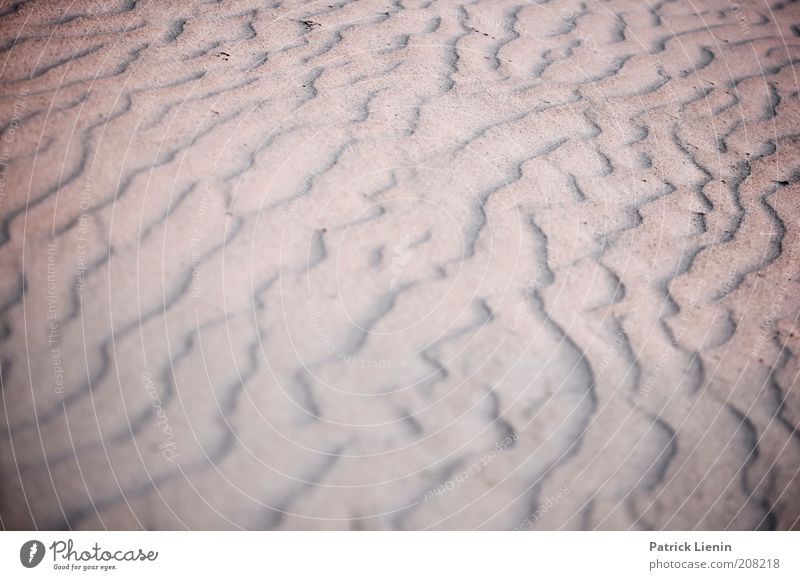 Sandrippel Umwelt Natur Landschaft Urelemente Erde Sommer Wind Küste Strand Insel Stimmung Rippeln Linie Formation lang abstrakt Vignettierung durcheinander