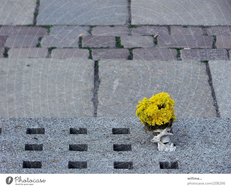 My Favorite Things Blume gelb Platz trist Stein grau Leben skurril Vergänglichkeit Pflastersteine Bodenplatten Blumenstrauß Einsamkeit verloren vergessen