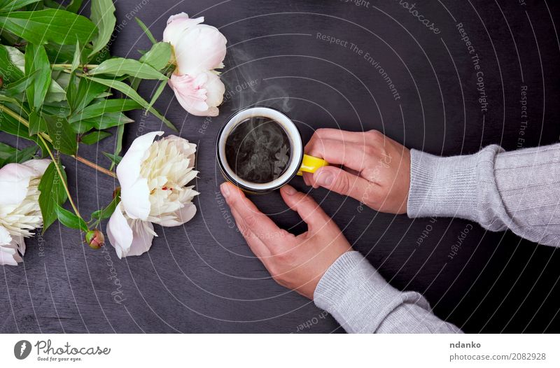 Gelber Becher in den weiblichen Händen Frühstück Getränk Kaffee Espresso Tasse Tisch Restaurant Hand Blume Blumenstrauß Holz Blühend genießen hängen frisch heiß