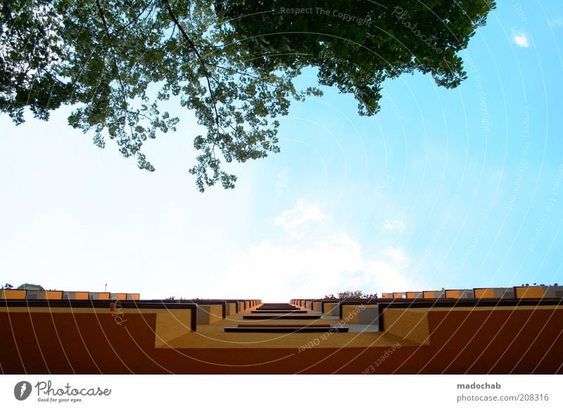 um die wette wachsen Häusliches Leben Natur Himmel Baum Haus Fassade Fortschritt Perspektive Wachstum Kontrast Gegenteil Sommer Balkon Laubbaum positiv Farbfoto