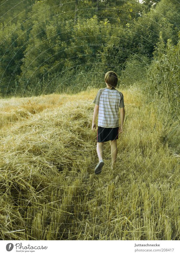 Auf dem Weg zum Baumhaus Getreide maskulin Junge Kindheit 1 Mensch 8-13 Jahre Umwelt Natur Sommer Schönes Wetter Nutzpflanze Feld T-Shirt Shorts entdecken