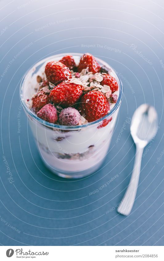 Frischer Erdbeerquark Lebensmittel Joghurt Frucht Süßwaren Erdbeeren Vegetarische Ernährung Dessert Schalen & Schüsseln Freude Gesundheit Gesunde Ernährung
