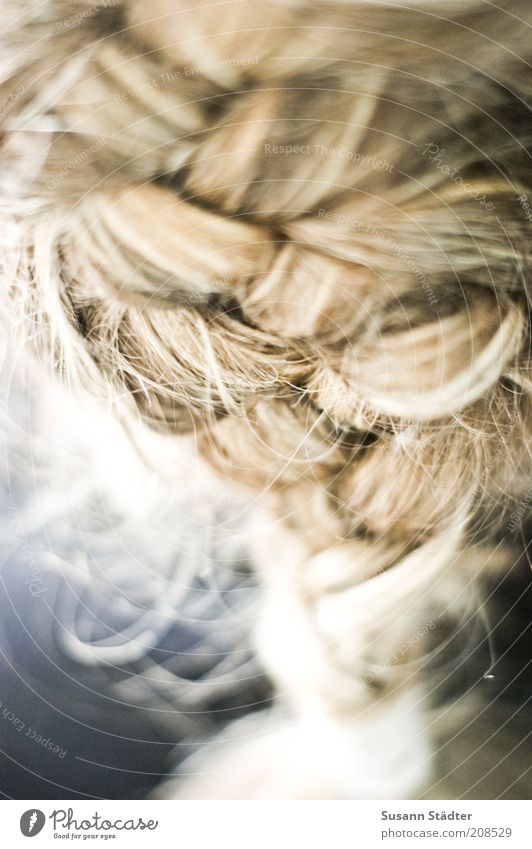 Flechtwerk Haare & Frisuren blond Zopf Behaarung natürlich niedlich schön geflochten Franzosenzopf Netzwerk Zusammenhalt Haarsträhne Haargummi binden