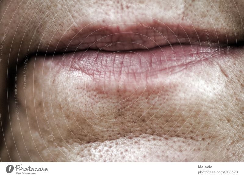 Lippenbekenntnis Frau Erwachsene 1 Mensch 45-60 Jahre alt natürlich Senior Farbfoto Nahaufnahme Detailaufnahme Tag Hautfalten Pore Gesichtsausschnitt Frauenmund