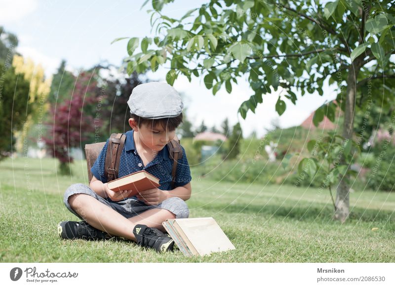 welches nehme ich maskulin Kind Junge Kindheit Leben 1 Mensch 3-8 Jahre Natur Sommer Schönes Wetter Baum Garten Wiese Lächeln lernen lesen sitzen träumen frei
