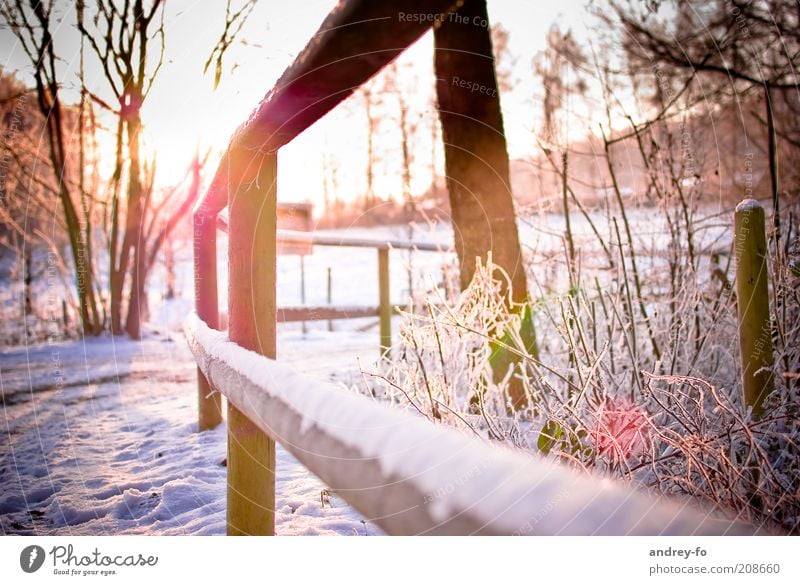 Sonnenuntergang im Winter Natur Sonnenaufgang Sonnenlicht Schönes Wetter Eis Frost Schnee Baum Garten Wege & Pfade Holz weiß Zaun Wintertag kalt